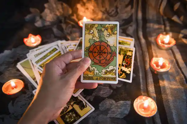 tarot cards Ladue